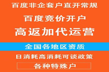 SEM优化技巧：实战案例深度剖析